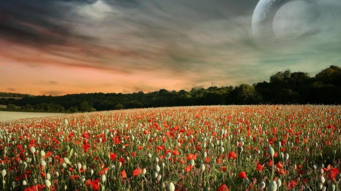 世界上哪款战斗机最好看？